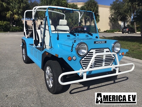 Blue Mokee 4 Passenger Golf Cart affordable golf cart rental, golf cart rent miami