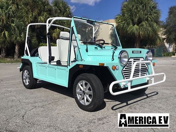 Mint Mokee 4 Passenger Golf Cart affordable golf cart rental, golf cart rent miami